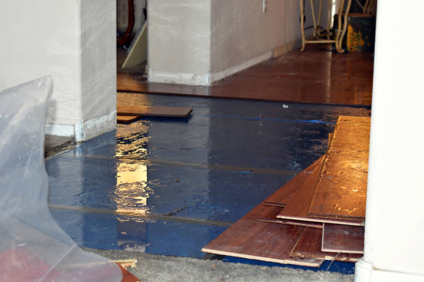 Professional Burst Pipe Cleanup technician working in Elmira, NY